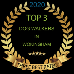 Best dogs walkers in Wokingham